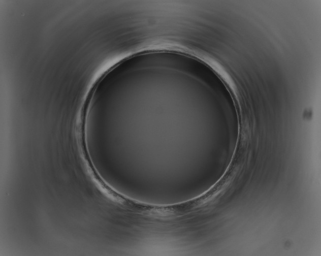 X0000094421053200711211406