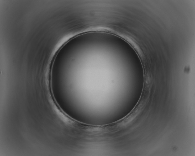 X0000094421054200711211406