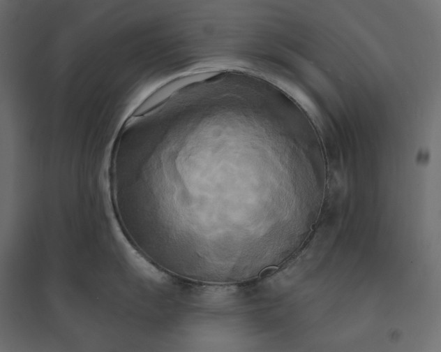 X0000094421055200711211406