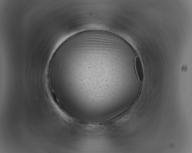 X0000094421056200711211406
