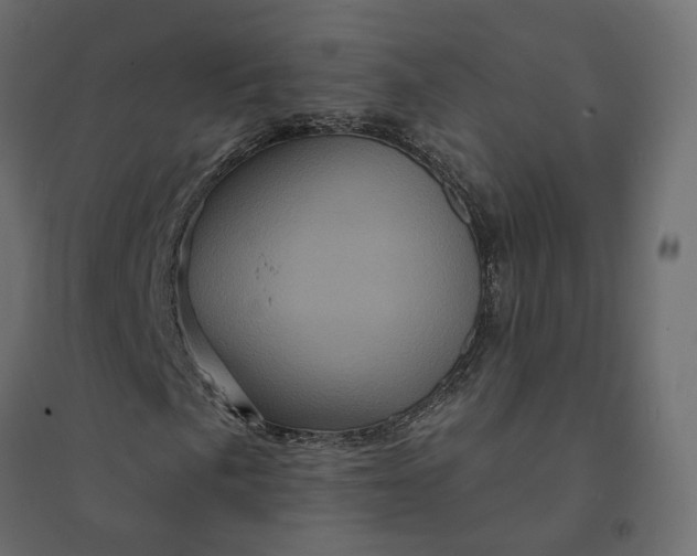 X0000094421057200711211405
