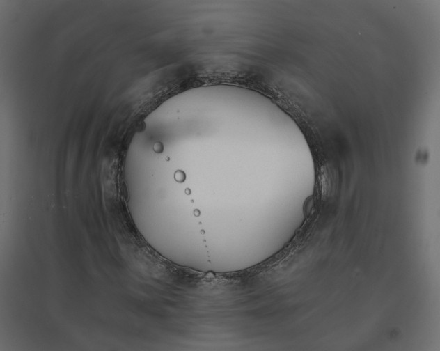 X0000094421059200711211405