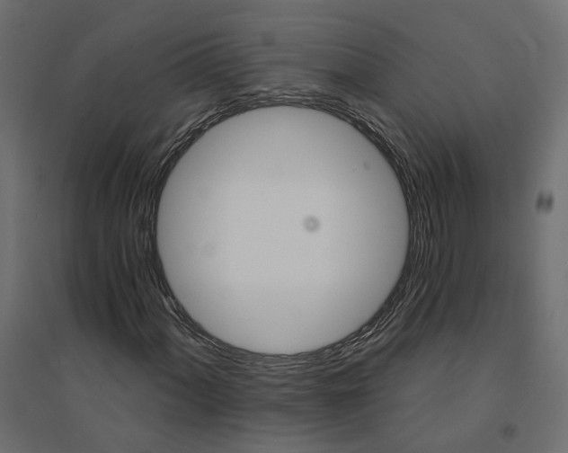 X0000094421060200711211405