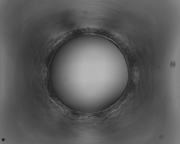 X0000094421061200711211405