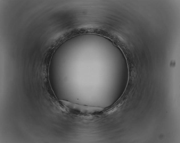 X0000094421062200711211405