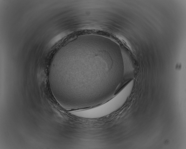 X0000094421064200711211405