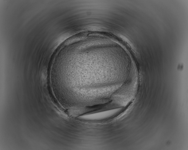 X0000094421065200711211405
