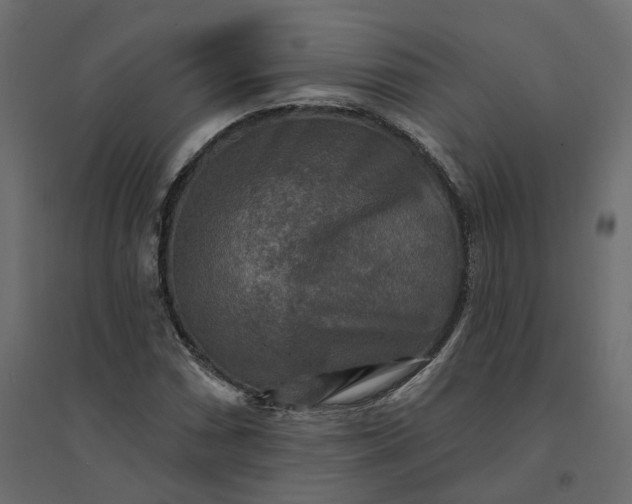 X0000094421066200711211405