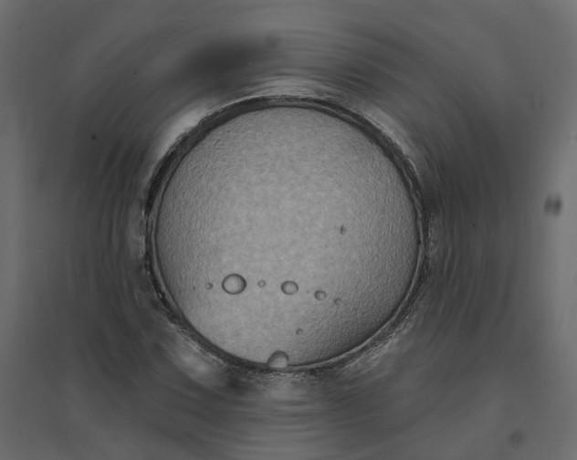 X0000094421067200711211405
