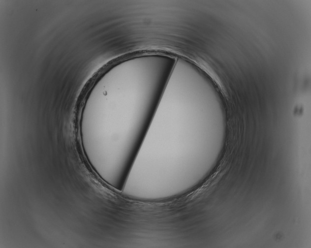 X0000094421068200711211405