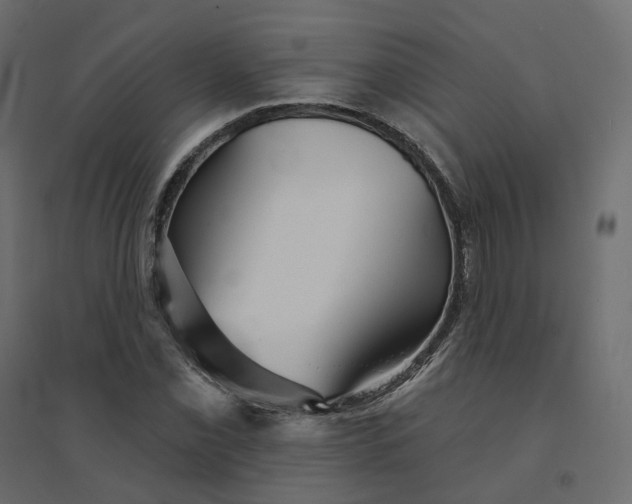 X0000094421069200711211405
