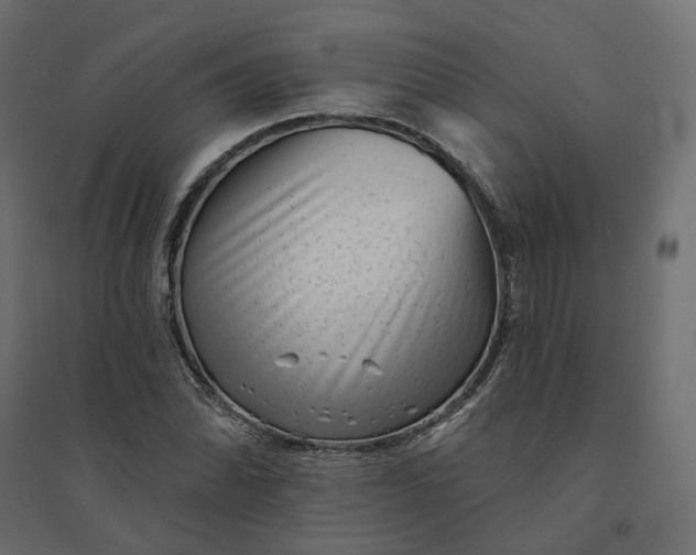 X0000094421070200711211405