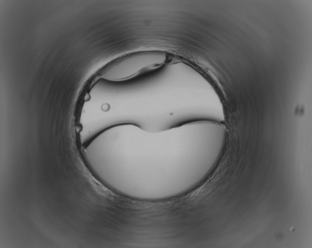X0000094421072200711211405