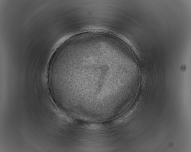 X0000094421074200711211405