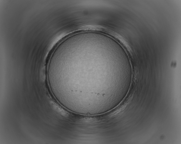 X0000094421075200711211405