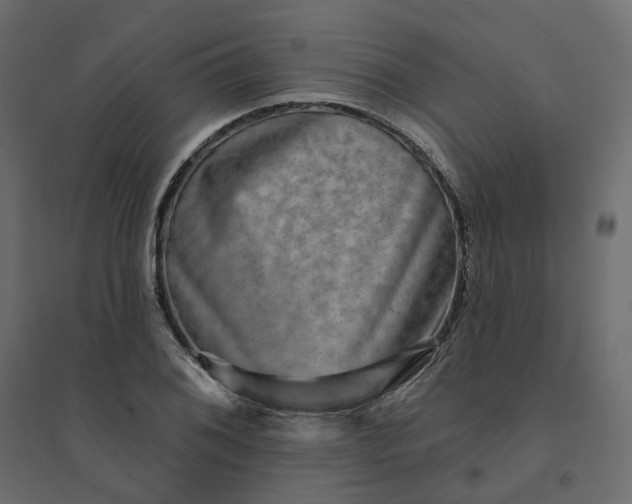 X0000094421076200711211405