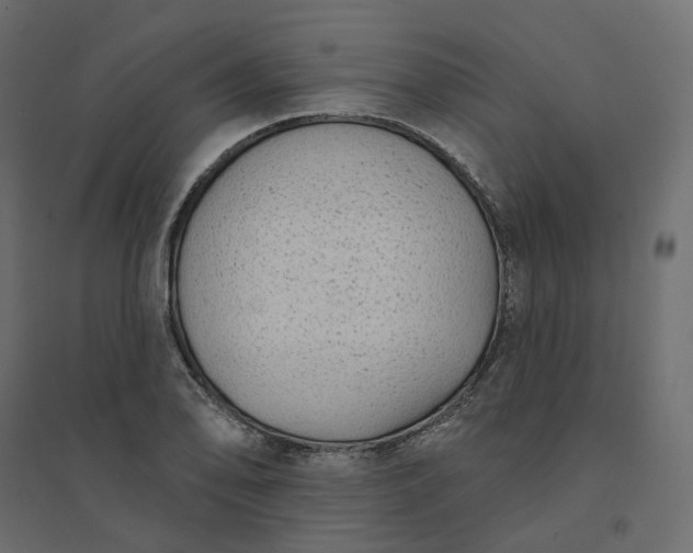 X0000094421078200711211405