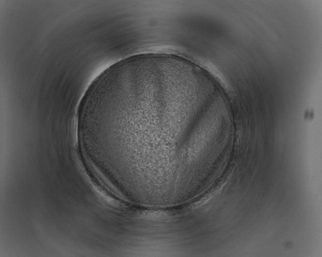 X0000094421079200711211405