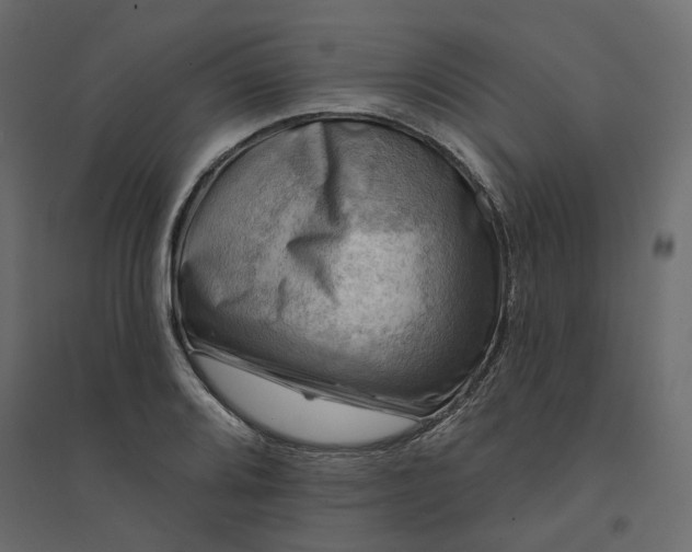 X0000094421080200711211405