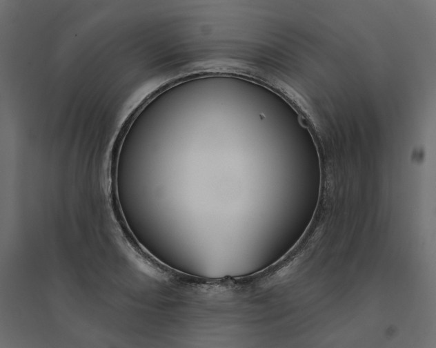 X0000094421082200711211405