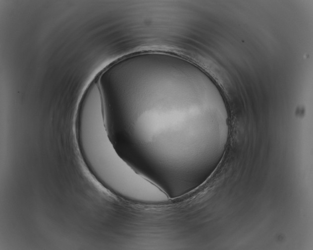 X0000094421084200711211405