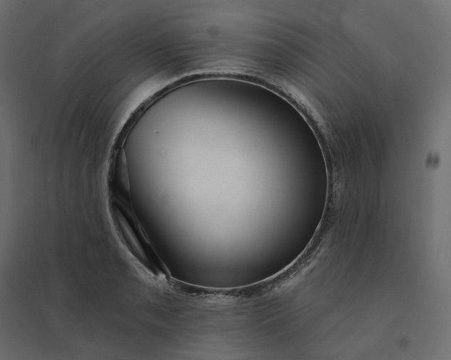 X0000094421085200711211405