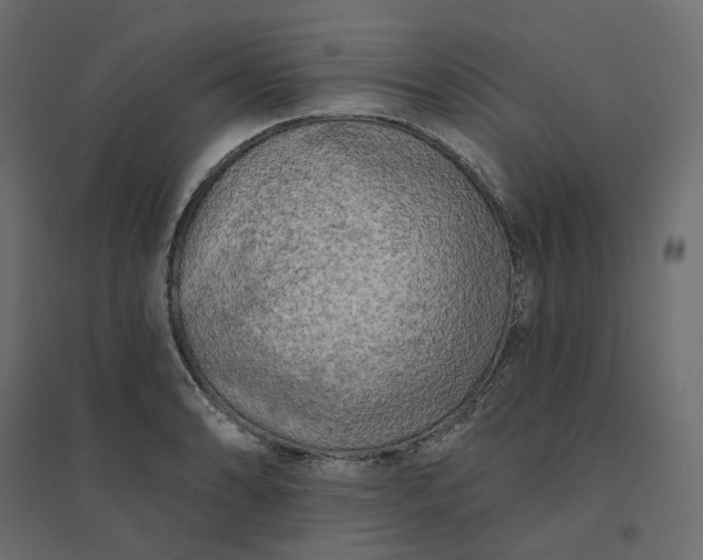 X0000094421086200711211405