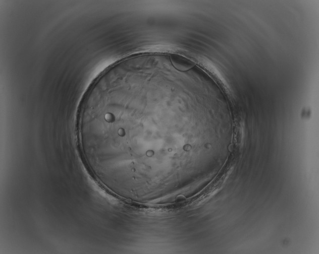 X0000094421087200711211405