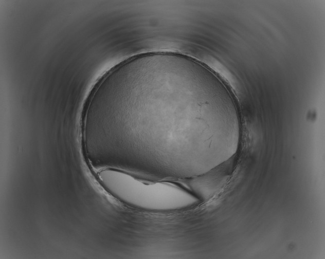 X0000094421088200711211405
