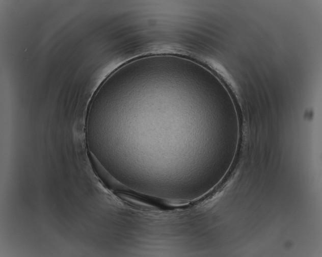 X0000094421089200711211405
