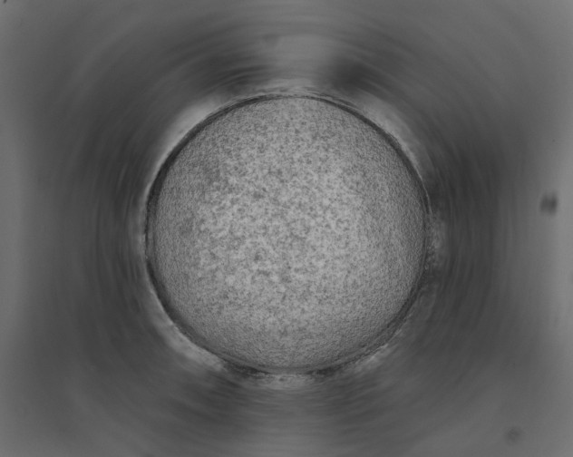 X0000094421090200711211405