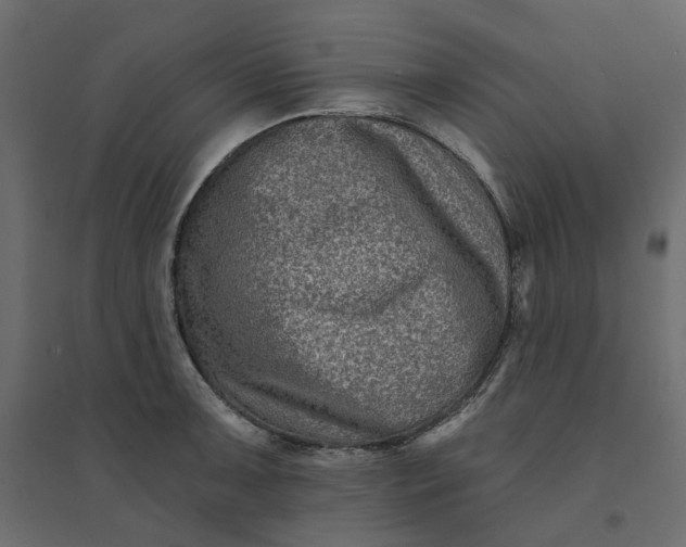 X0000094421091200711211405