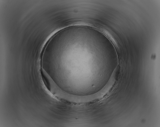 X0000094421092200711211405