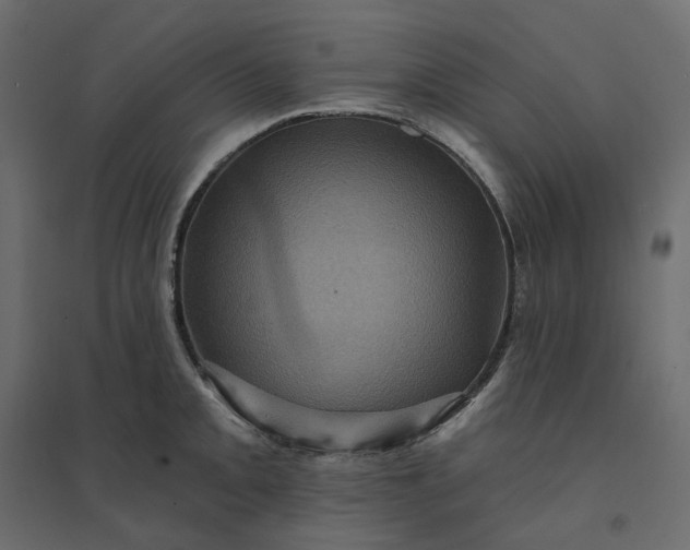 X0000094421093200711211405