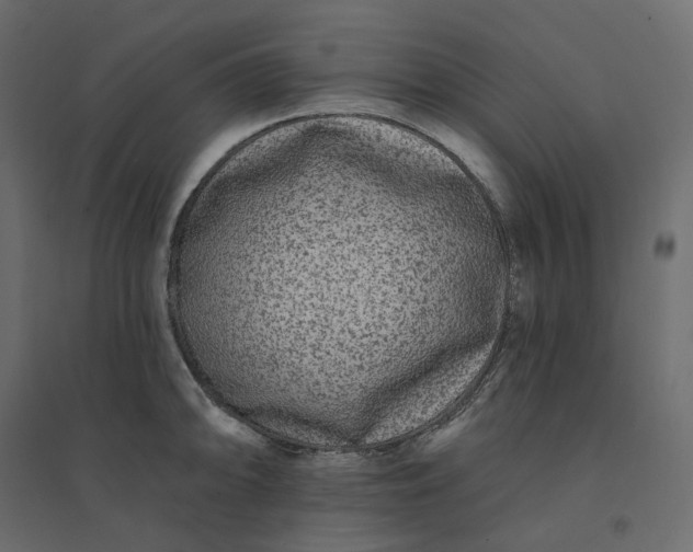 X0000094421094200711211405