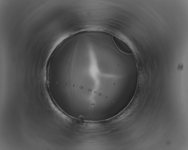 X0000094421095200711211405
