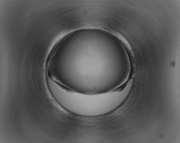 X0000094421096200711211405