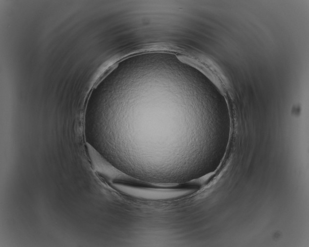 X0000094421097200711211405