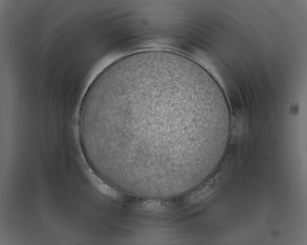 X0000094421098200711211405