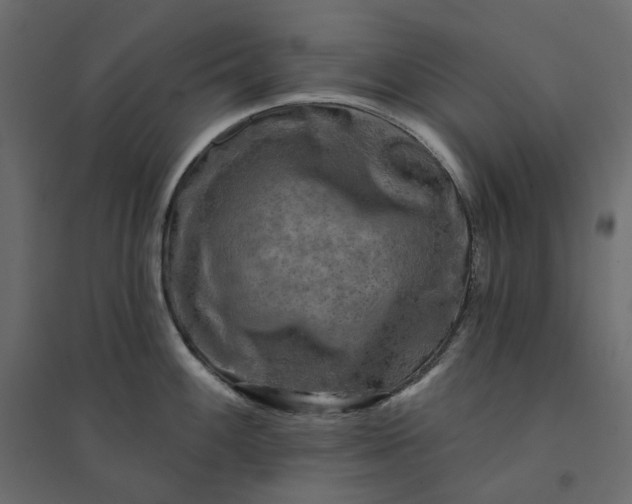 X0000094421100200711211405