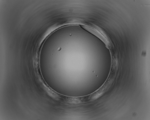 X0000094421101200711211405