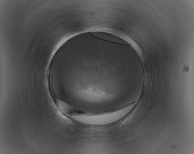 X0000094421102200711211405