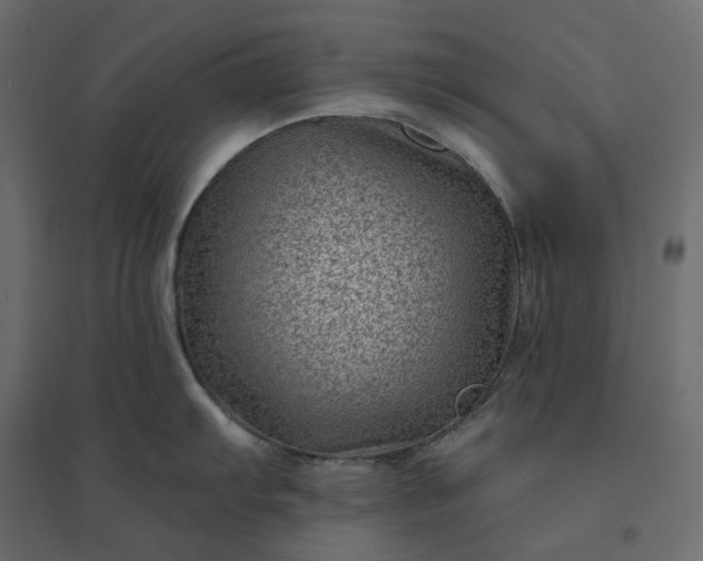 X0000094421103200711211405