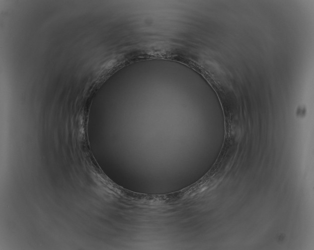 X0000094421106200711211404