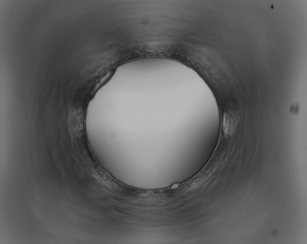 X0000094421107200711211404