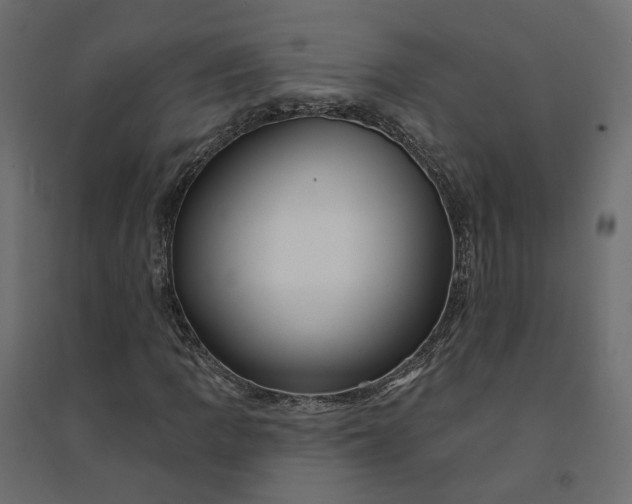 X0000094421109200711211404