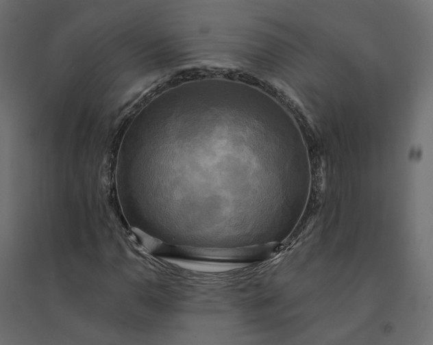 X0000094421110200711211404