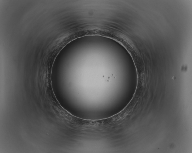 X0000094421111200711211404