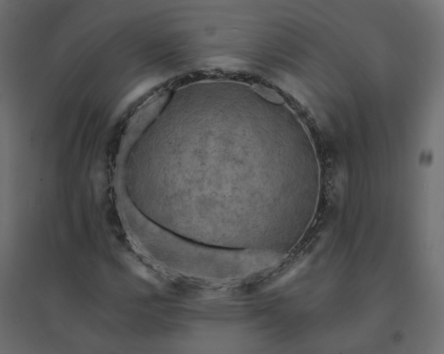 X0000094421112200711211404