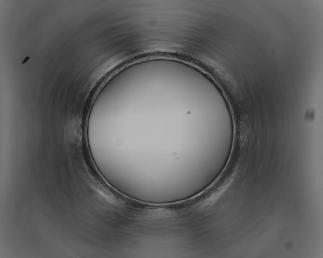 X0000094421113200711211404